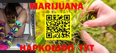индика Можга