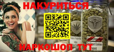 индика Можга