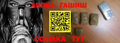 индика Можга