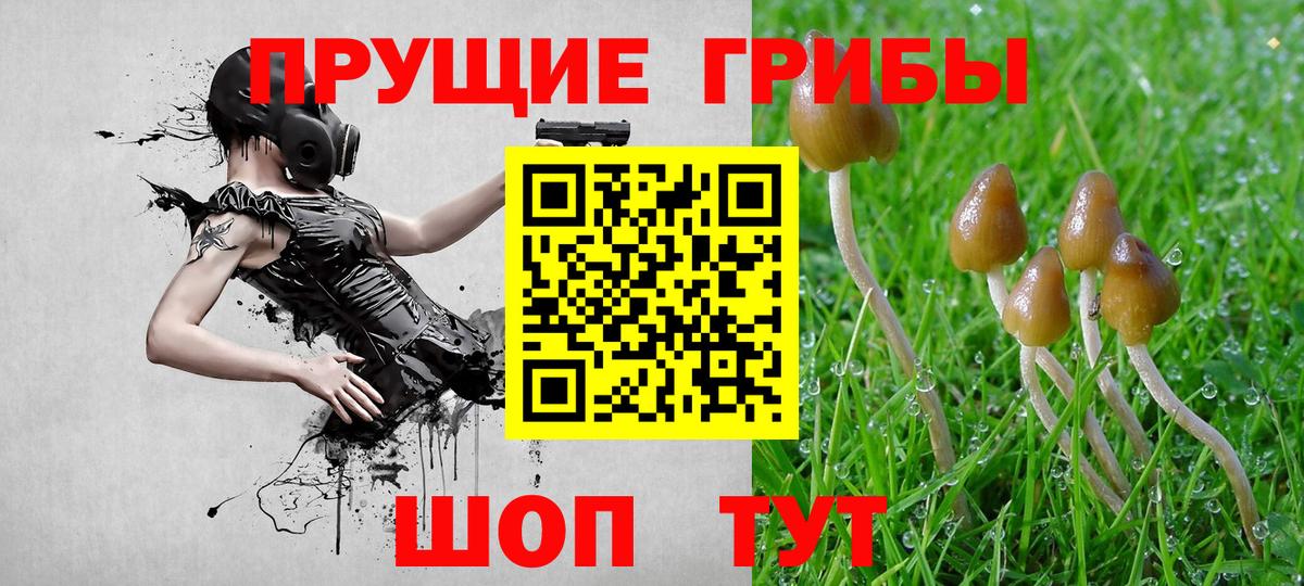 Галлюциногенные грибы Cubensis  Вход с VPN  сколько стоит  Псилоцибиновые грибы ЛСД  Югорск 